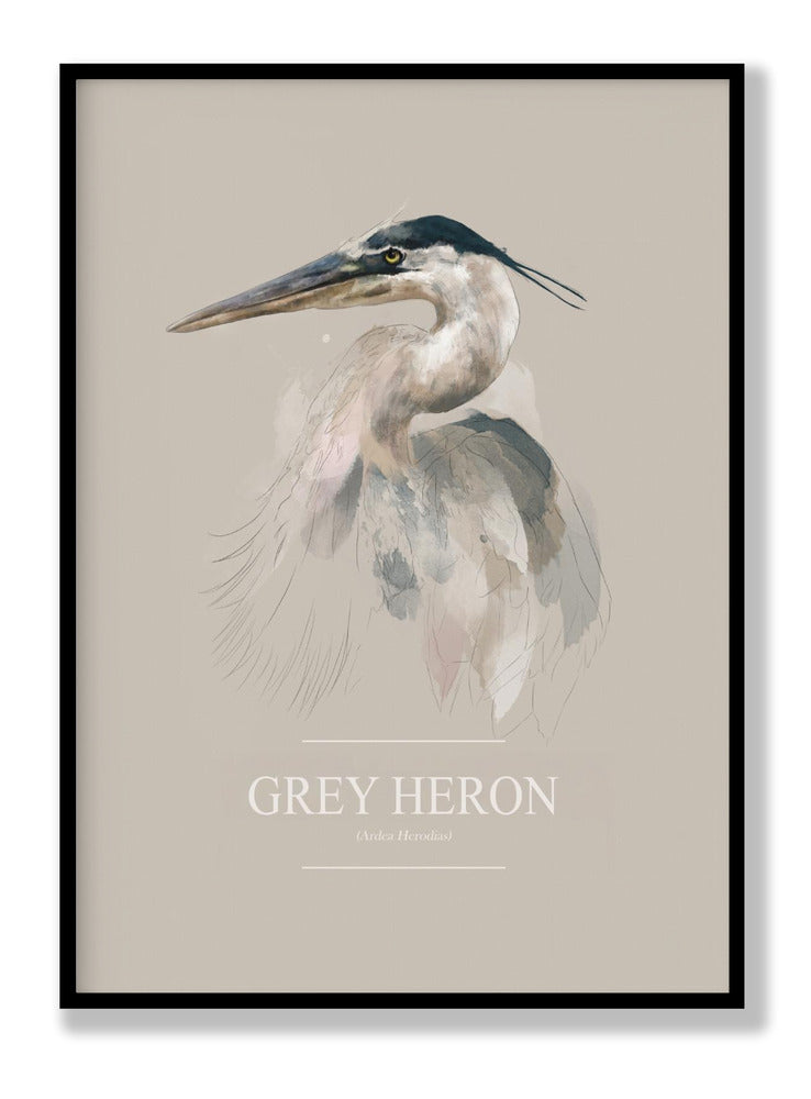 Grey Heron Plakat