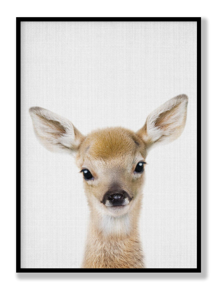 Peekaboo Baby Deer Poster