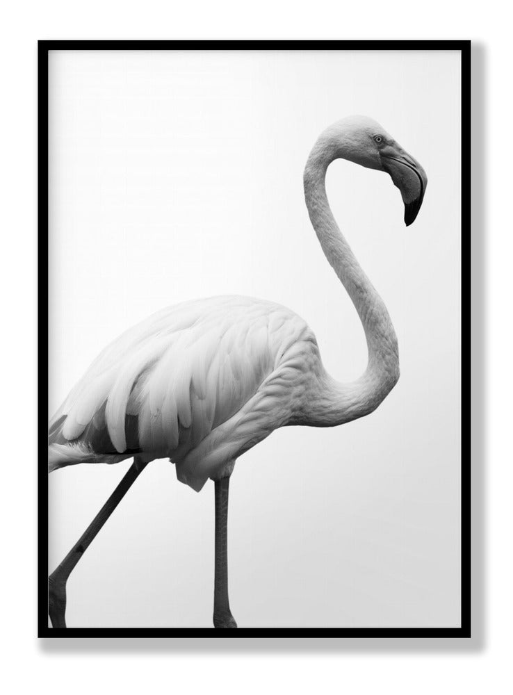 Dancer Plakat
