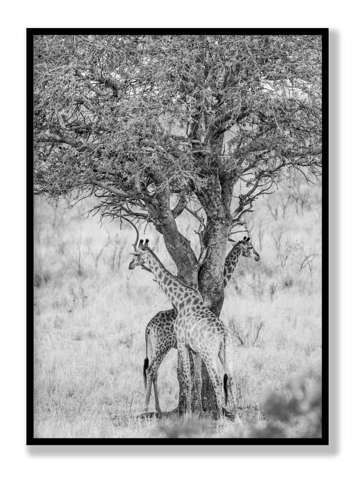 Got Your Back Plakat