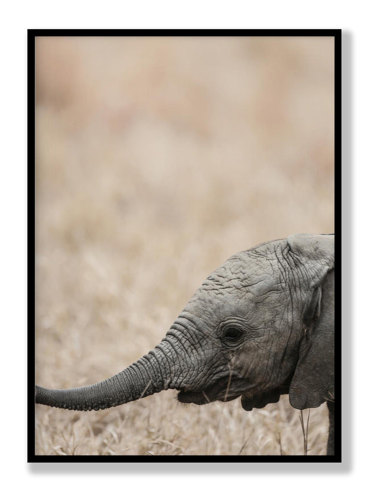 Jellybaby Plakat