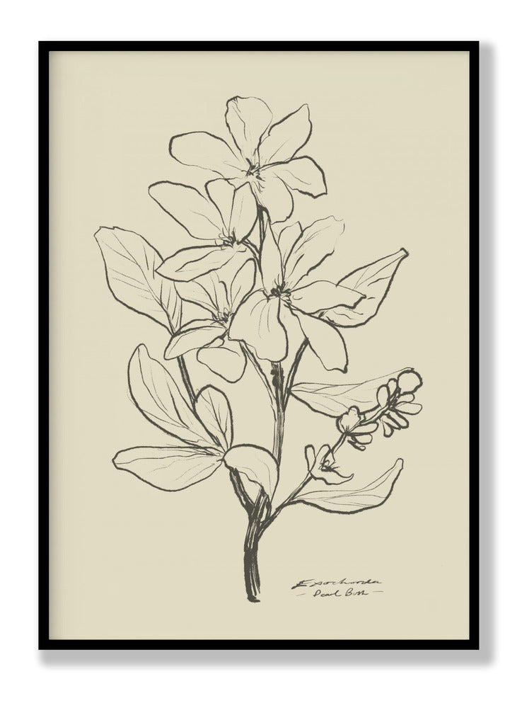 Floral 1 Plakat