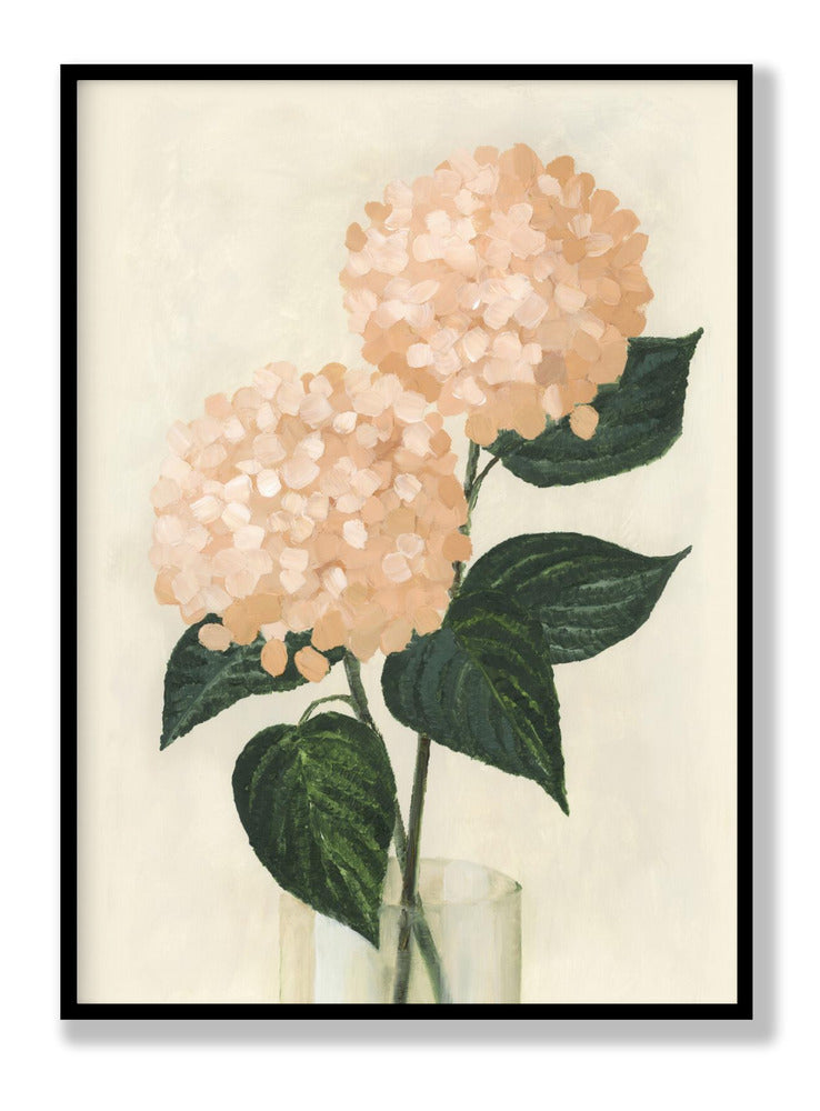 Coral hydrangeas in a vase Plakat