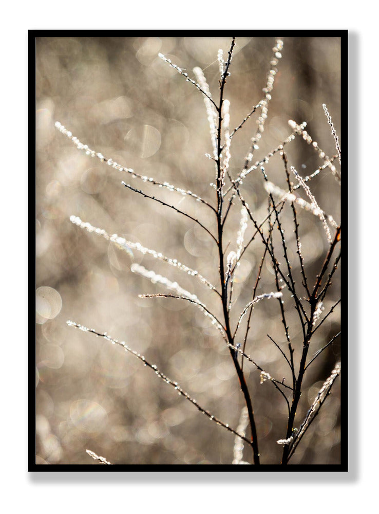 A Winter Morning 5 Plakat