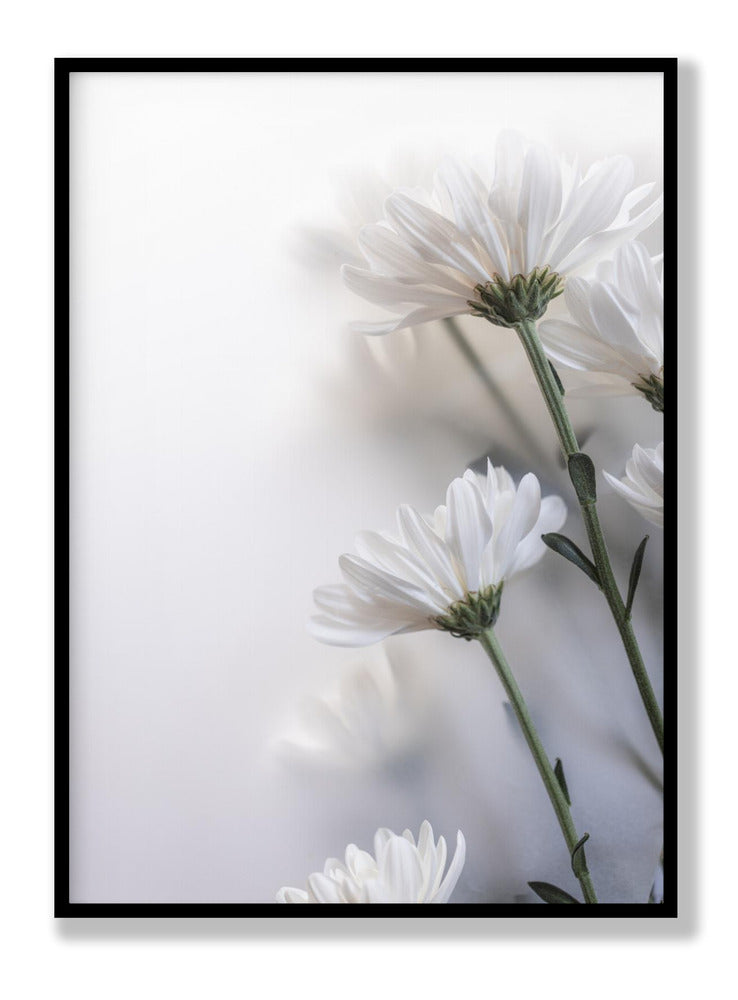 Blurred Flowers 8 Plakat
