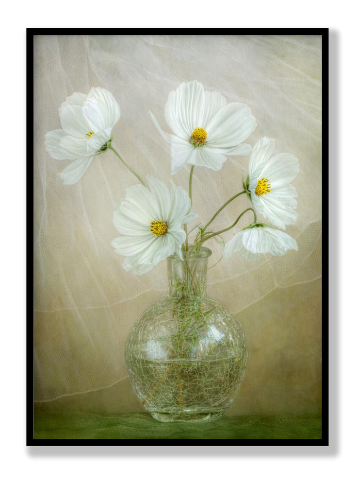 Cosmos breeze Plakat