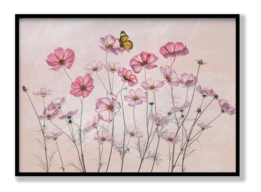 Cosmos and Butterfly Plakat