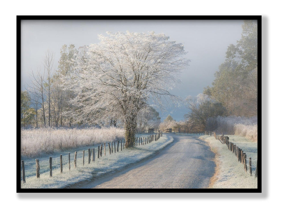 A Frosty Morning Plakat