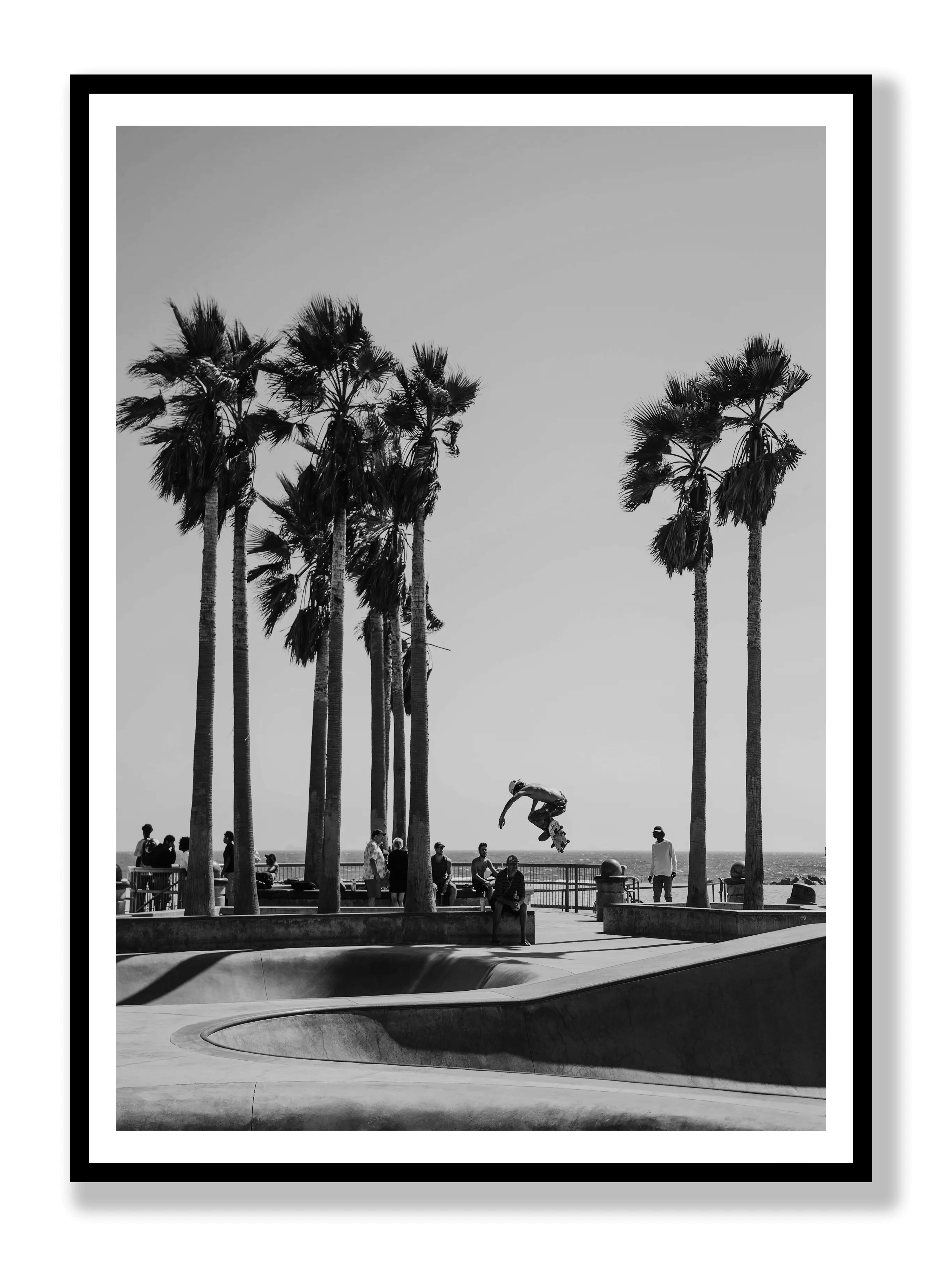 Skate Venice Beach Plakat