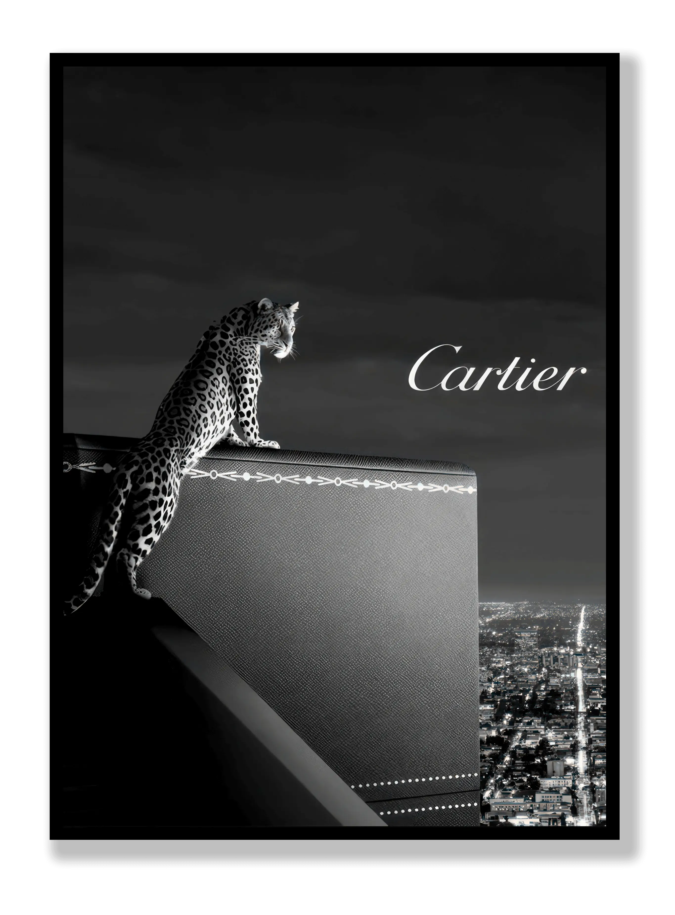 Cartier-Dachposter