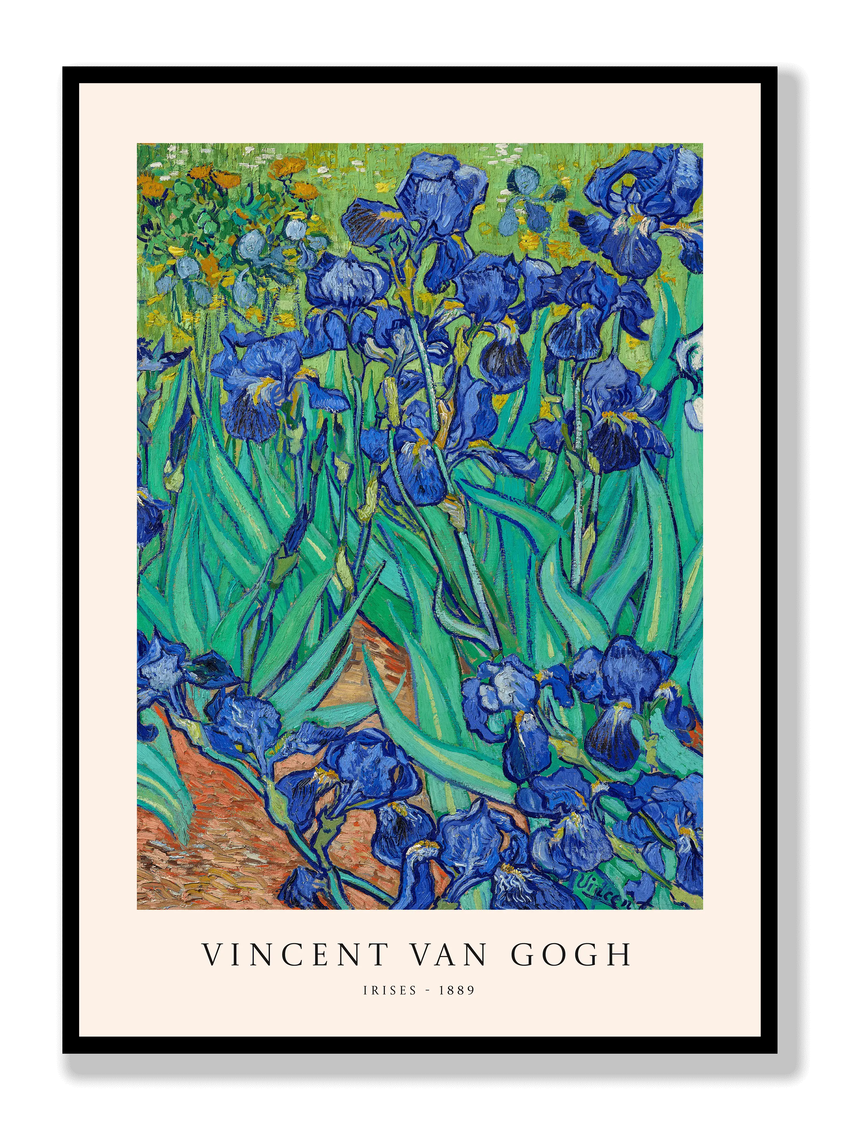 Van Gogh - Schwertlilien Poster