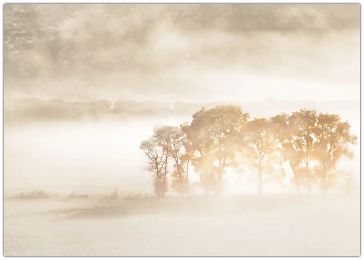 Autumn Dreams Plakat